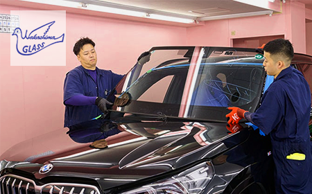 ワカシマガラス様